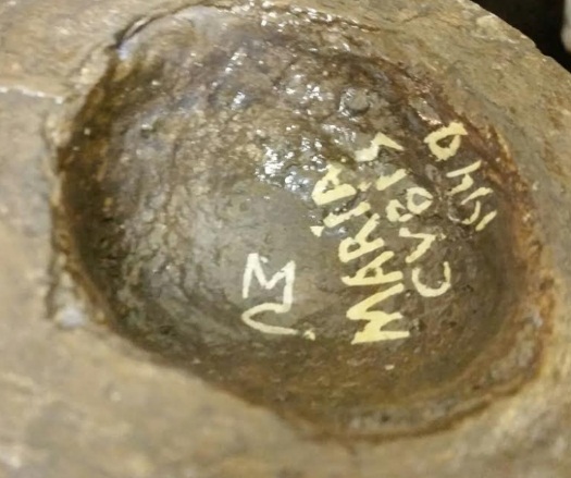 French Horn player signature Maria Cybis